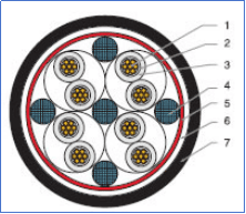 CAT6 cable passed Fluke test